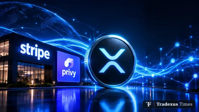 Ripple Taps Stripe-Owned Privy to Expand XRP and RLUSD Payments as AI Agent Activity Surges on XRPL
