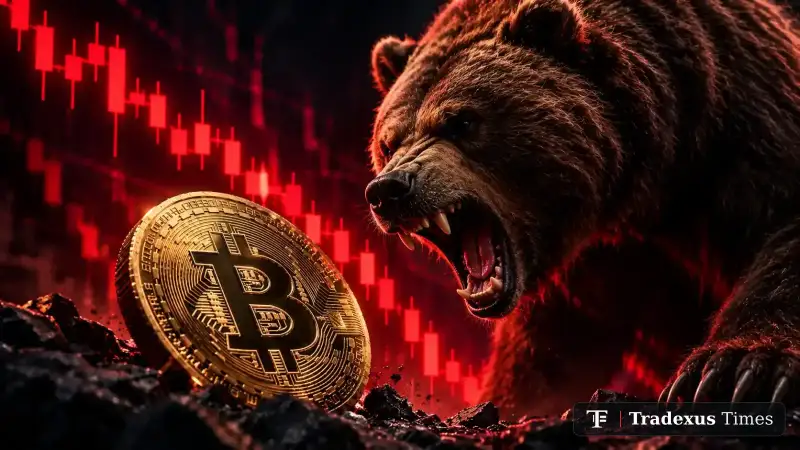 Bitcoin Drops Below $77K as $6.36B Binance Hack Triggers Market Selloff — Is $76,400 the Last Major Support?